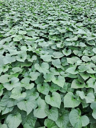 김재희님의 O학년 △반 이세요? · 참여글 작성글 사진