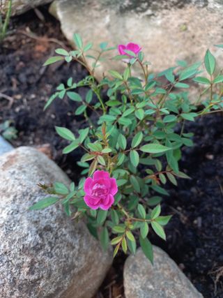 유기농으로키우자님의 자유주제 · 자유게시판 작성글 사진