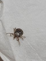 팜모닝 기타작물·병해충상담 게시글 이미지