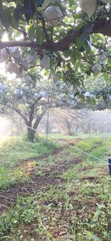 팜모닝 자유주제·사진전 게시글 이미지