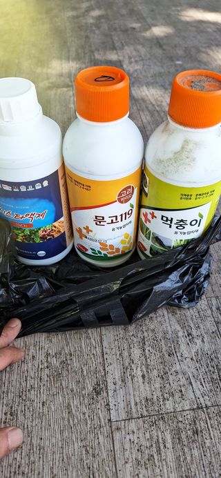 도시농부님의 자유주제 · 사진전 작성글 사진
