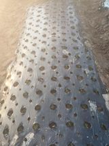 팜모닝 기타작물·자유게시판 게시글 이미지