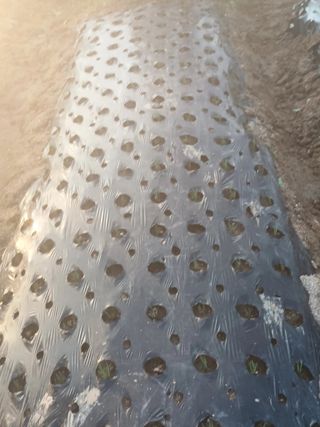 hoonkoo님의 기타작물 · 자유게시판 작성글 사진