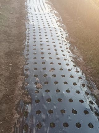 hoonkoo님의 기타작물 · 자유게시판 작성글 사진