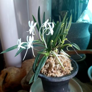 권세민님의 장터이야기 · 자유게시판 작성글 사진