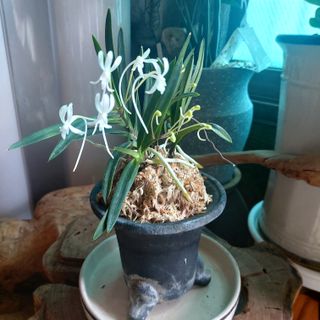 권세민님의 장터이야기 · 자유게시판 작성글 사진