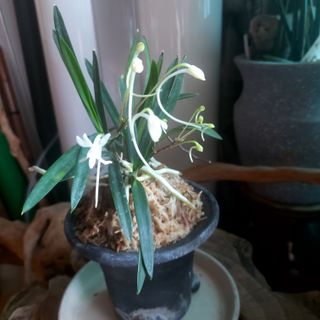 권세민님의 장터이야기 · 자유게시판 작성글 사진