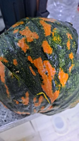 귀농 4년/지성훈님의 호박 · 자유게시판 작성글 사진