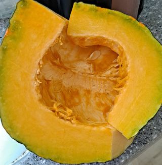 귀농 4년/지성훈님의 호박 · 자유게시판 작성글 사진