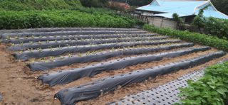 김영문님의 O학년 △반 이세요? · 참여글 작성글 사진