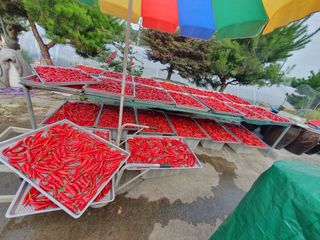 생강콩참깨들깨고추고님의 O학년 △반 이세요? · 참여글 작성글 사진