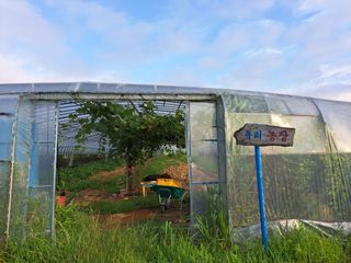 귀향인님의 자유주제 · 자유게시판 작성글 사진