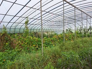 귀향인님의 자유주제 · 자유게시판 작성글 사진