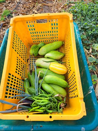 귀향인님의 자유주제 · 자유게시판 작성글 사진