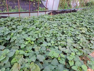 귀향인님의 자유주제 · 자유게시판 작성글 사진