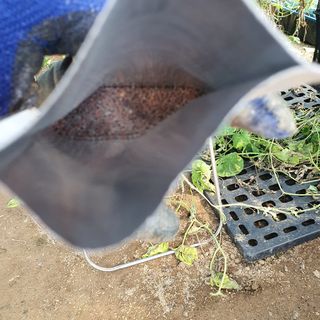 이소영님의 양배추 · 영농일지 작성글 사진