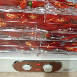 이소영님의 고추 · 영농일지 작성글 사진