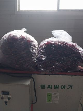 삼둥이님의 O학년 △반 이세요? · 참여글 작성글 사진