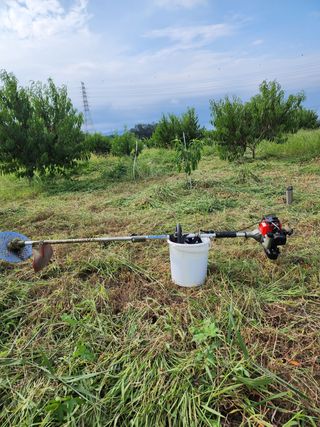 박병한님의 복숭아 · 영농일지 작성글 사진