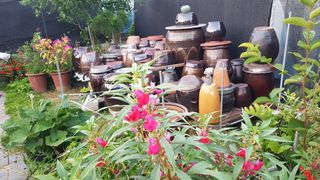 김광수님의 자유주제 · 자유게시판 작성글 사진