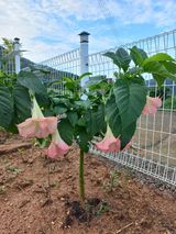 팜모닝 자유주제·자유게시판 게시글 이미지