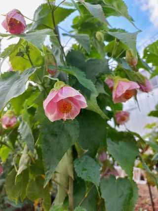 유기농으로키우자님의 자유주제 · 자유게시판 작성글 사진