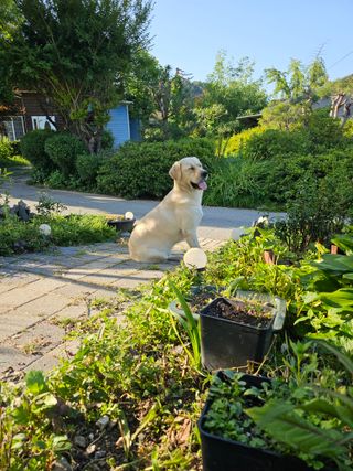 헤라네(김정현)님의 O학년 △반 이세요? · 참여글 작성글 사진