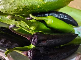 헤라네(김정현)님의 O학년 △반 이세요? · 참여글 작성글 사진