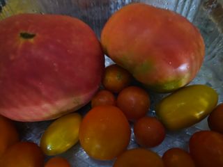 헤라네(김정현)님의 O학년 △반 이세요? · 참여글 작성글 사진