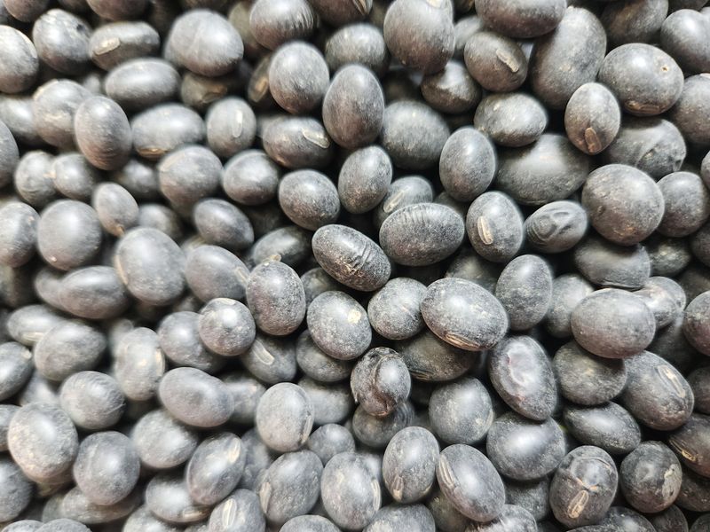 장터 상품 [서리태 ●고추가루] 썸네일