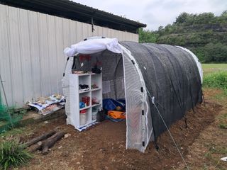 살구장수님의 자두 · 자유게시판 작성글 사진