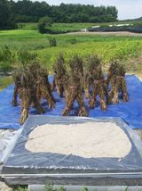 팜모닝 O학년 △반 이세요?·참여글 게시글 이미지