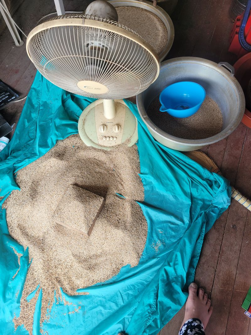 장터 상품 [참깨 1되] 썸네일