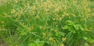 골든벨님의 자유주제 · 자유게시판 작성글 사진