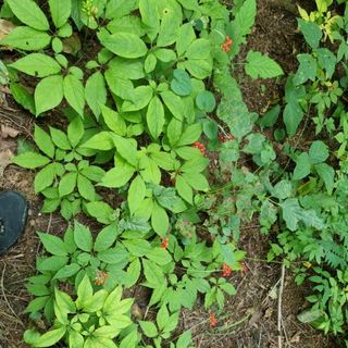 엘도라도님의 O학년 △반 이세요? · 참여글 작성글 사진