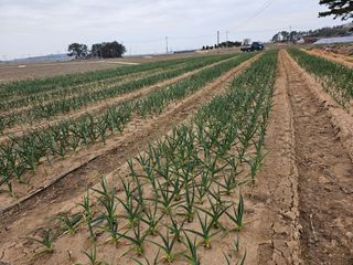 엘도라도님의 O학년 △반 이세요? · 참여글 작성글 사진