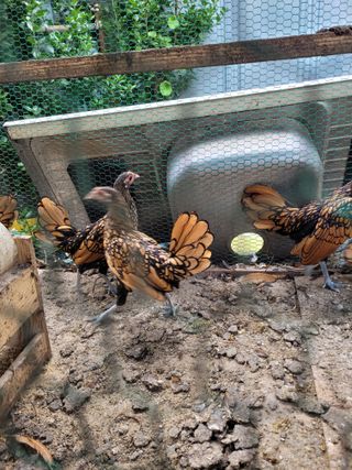 김금자님의 자유주제 · 자유게시판 작성글 사진