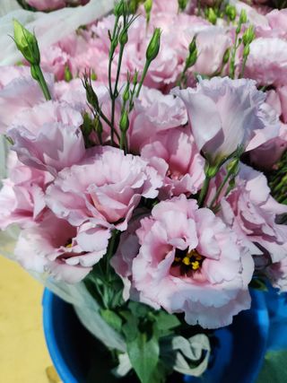 최돈례 님의 O학년 △반 이세요? · 참여글 작성글 사진