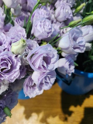 최돈례 님의 O학년 △반 이세요? · 참여글 작성글 사진