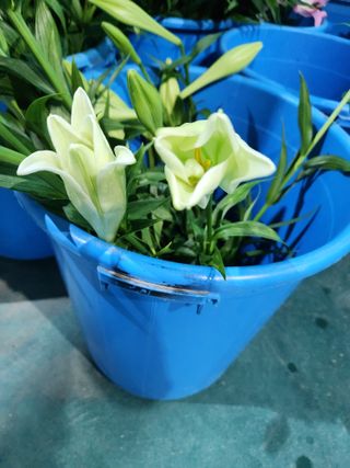 최돈례 님의 O학년 △반 이세요? · 참여글 작성글 사진