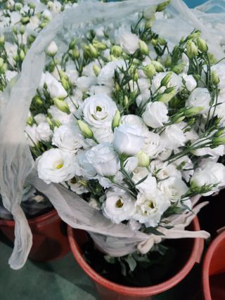 최돈례 님의 O학년 △반 이세요? · 참여글 작성글 사진