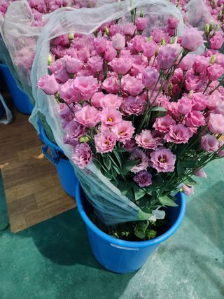 최돈례 님의 O학년 △반 이세요? · 참여글 작성글 사진