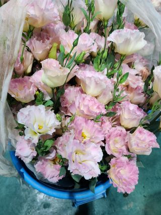 최돈례 님의 O학년 △반 이세요? · 참여글 작성글 사진