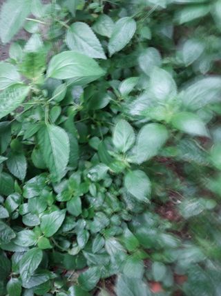 차영근님의 자유주제 · 자유게시판 작성글 사진