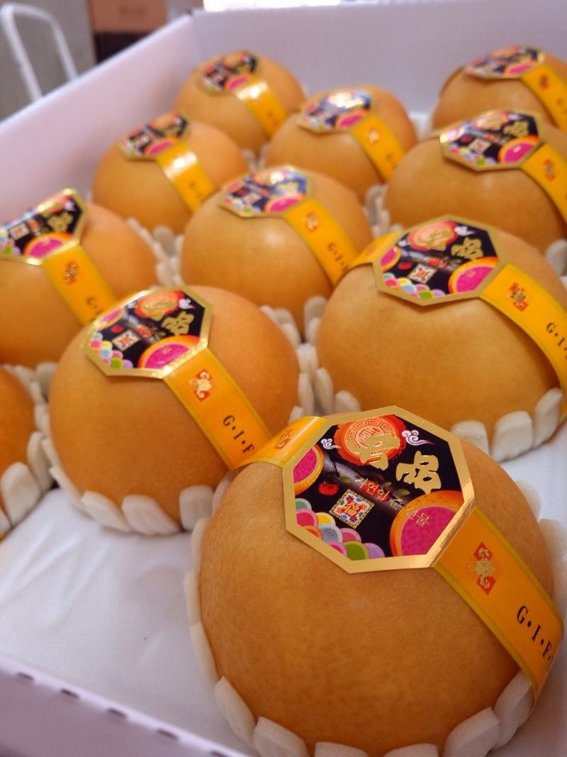 알 수 없음님의 장터 판매 상품 [나주신고배  7.5키로   10과ㅡ13과 랜덤] 첨부 사진