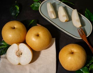 알 수 없음님의 작성글 사진