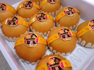 알 수 없음님의 작성글 사진