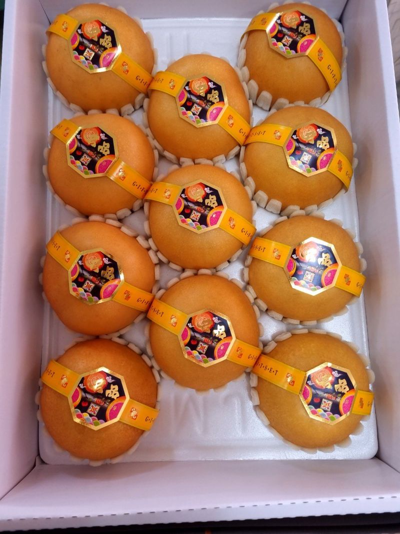 알 수 없음님의 장터 판매 상품 [나주신고배  7.5키로   10과ㅡ13과 랜덤] 첨부 사진