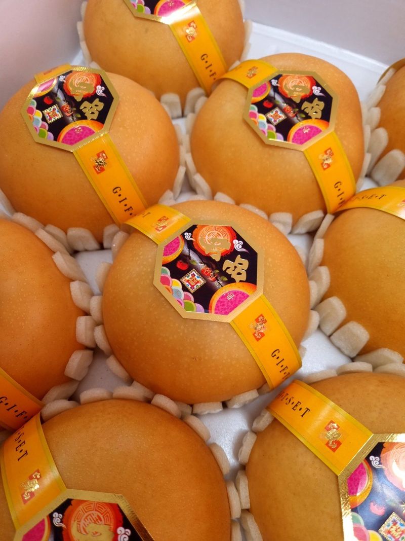 알 수 없음님의 장터 판매 상품 [나주신고배  7.5키로   10과ㅡ13과 랜덤] 첨부 사진