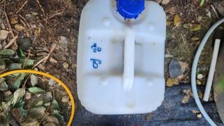 권철환님의 콩 · 자유게시판 작성글 사진